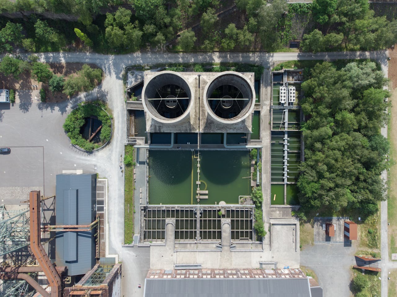 pexels photo 12634302.jpeg